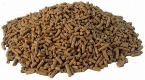 HorseFeed