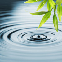 F1-F4 Fractions+ - BTEX in water analysis.
