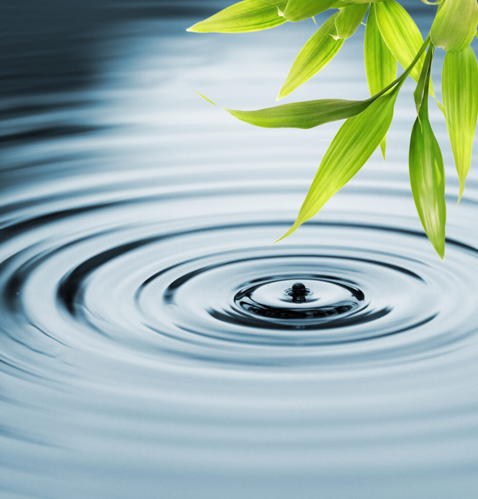Enviromental Testing