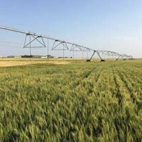 Irrigation Quality